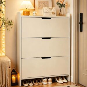 Flip-Down Shoe Cabinet